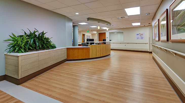 Darvocet Abuse CentersSyosset NY